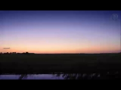 Serie 1000-8000 bobina de aluminio prepintada