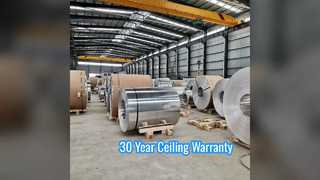 Hojas de techo de aluminio duraderas Garantía de 30 años