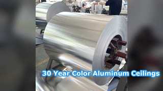 Paneles de techo de aluminio duraderos, color de 30 años