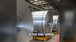 Hojas de techo de aluminio duraderas, color de 30 años