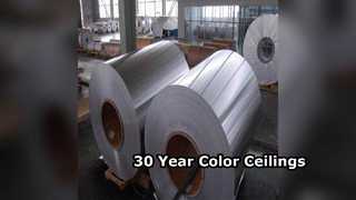 Hojas de techo de aluminio duraderas, color de 30 años